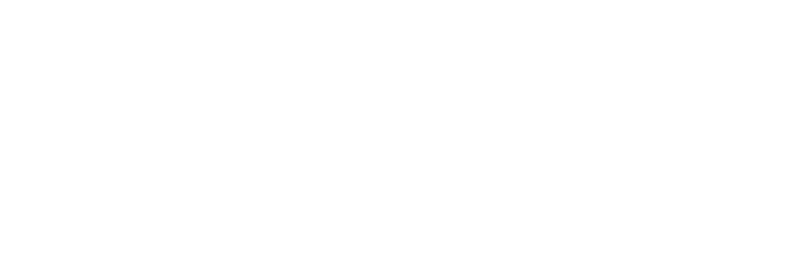 AktiVita
